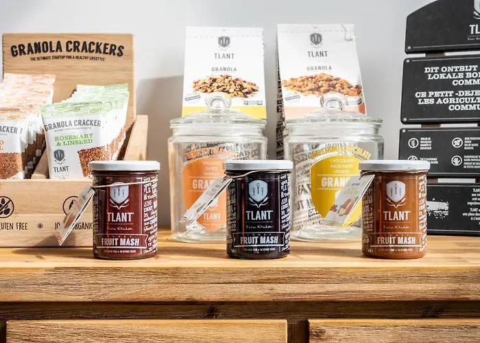 Szálloda L'artiste Lessines